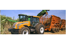 Sugar cane harvesting